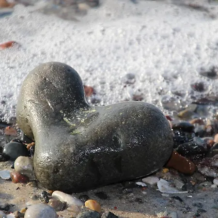 Apartamento Fiskerhytte - Meine Fischerhuette Börgerende-Rethwisch