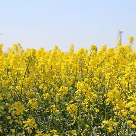 Fiskerhytte - Meine Fischerhuette Apartman
