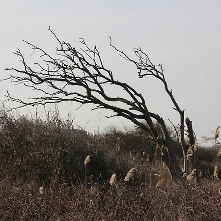 Fiskerhytte - Meine Fischerhuette * Börgerende-Rethwisch